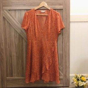 Never Worn Madewell Pom Pink Dress